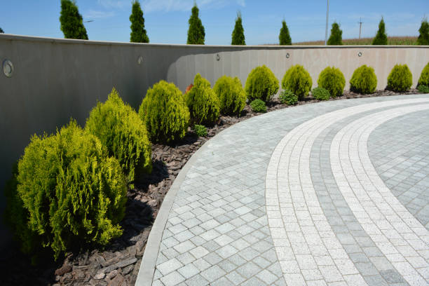 Best Concrete Paver Driveway  in Pasadena, TX